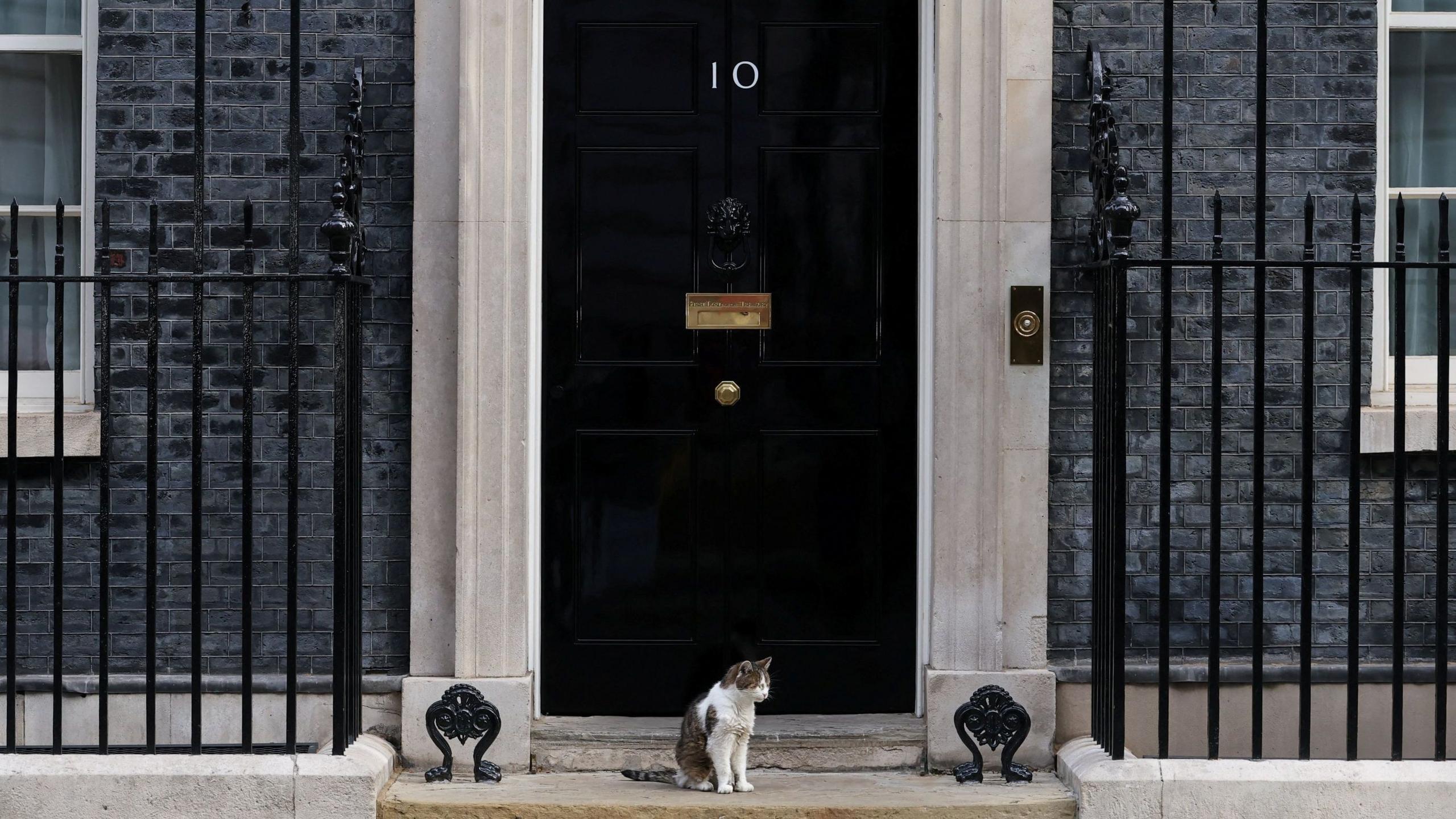 10 Downing Street. The black door featuring the "10" lettering and letterbox is closed, with Larry the Cat sat on the doorstep in front of it.
